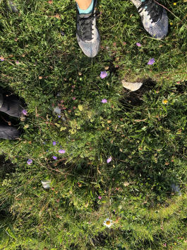 Julie Richard / design graphique